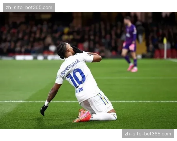 西汉姆联进攻核心萨默维尔伤缺 小腿伤势影响铁锤帮进攻体系